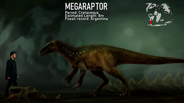 Megaraptora - Dinossauros - comparação com o tamanho de um ser humano