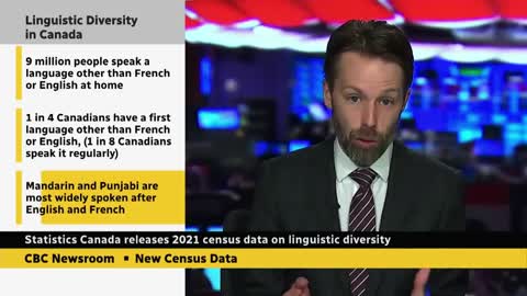 Record number of Canadians report 1st language other than English or French, census shows