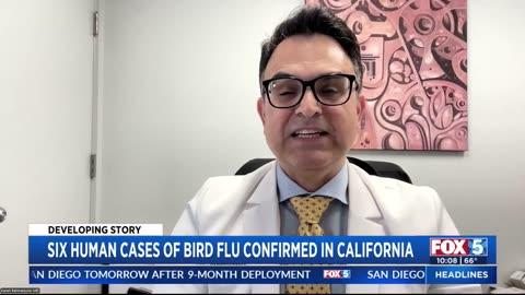 California becomes epicenter of bird flu crisis as more human cases reported