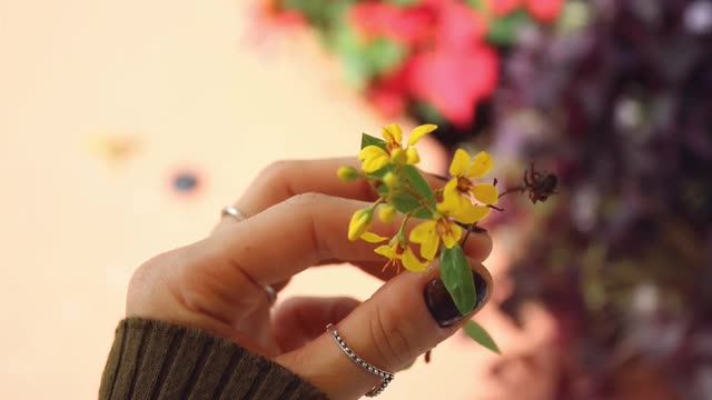 A Woman Is Holding A Plant Stem