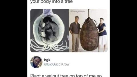 Random Memes 736