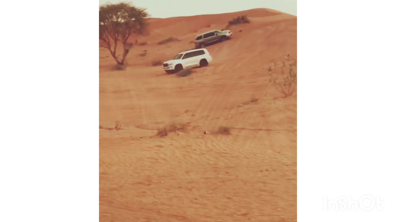 Desert drifting