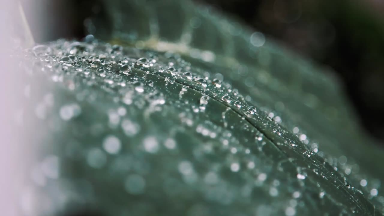 Anti-stress Rain song