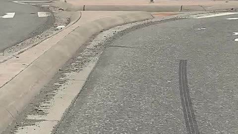 Mother Moose Walks Her Twins Down the Street in Alaska