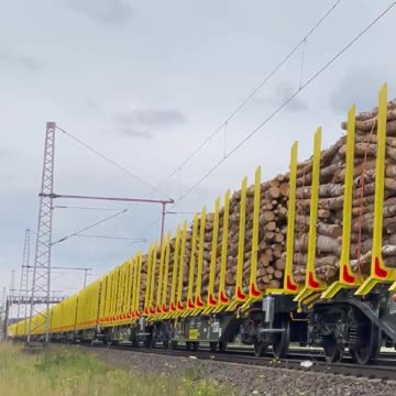 Salzburger Eisenbahn Transportlogistik GmbH (SETG) with the 193 693 near Dedensen Gümmer