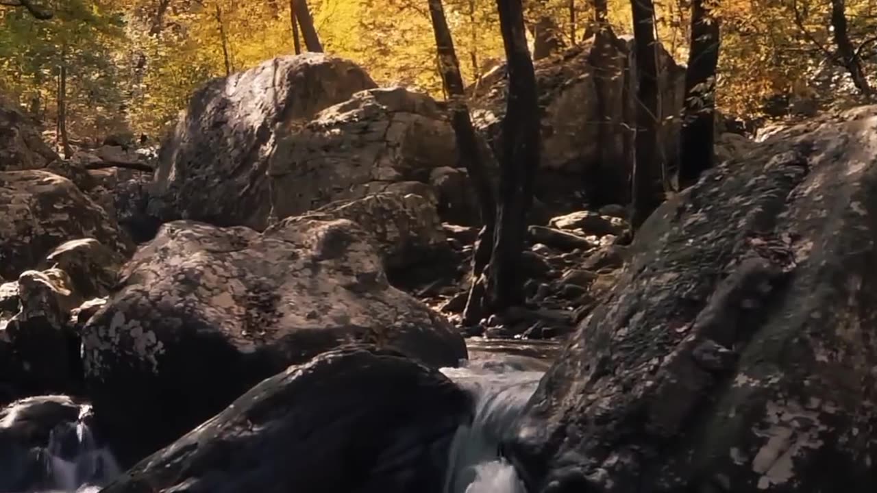 Nature water stream
