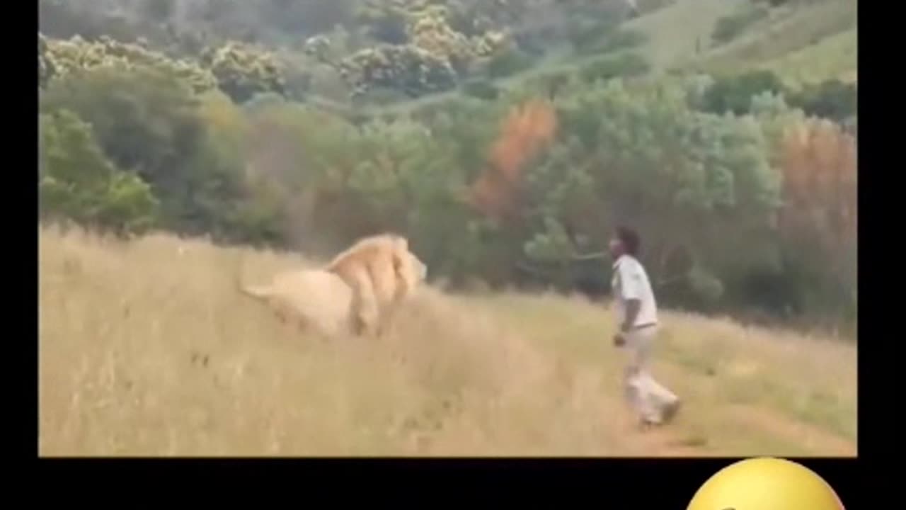 Men from Africa vs Men from Europe