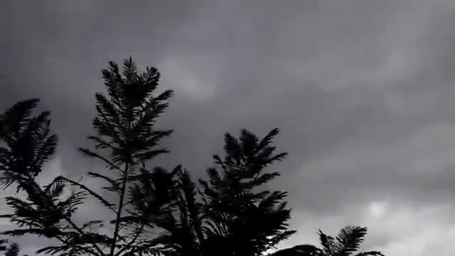 scary wave in gaza palestine