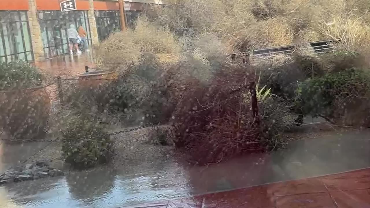 Atmospheric River Sends Sea of Tumbleweeds Across Central California