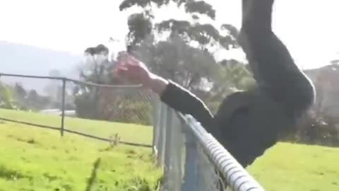 How animals get over a fence!