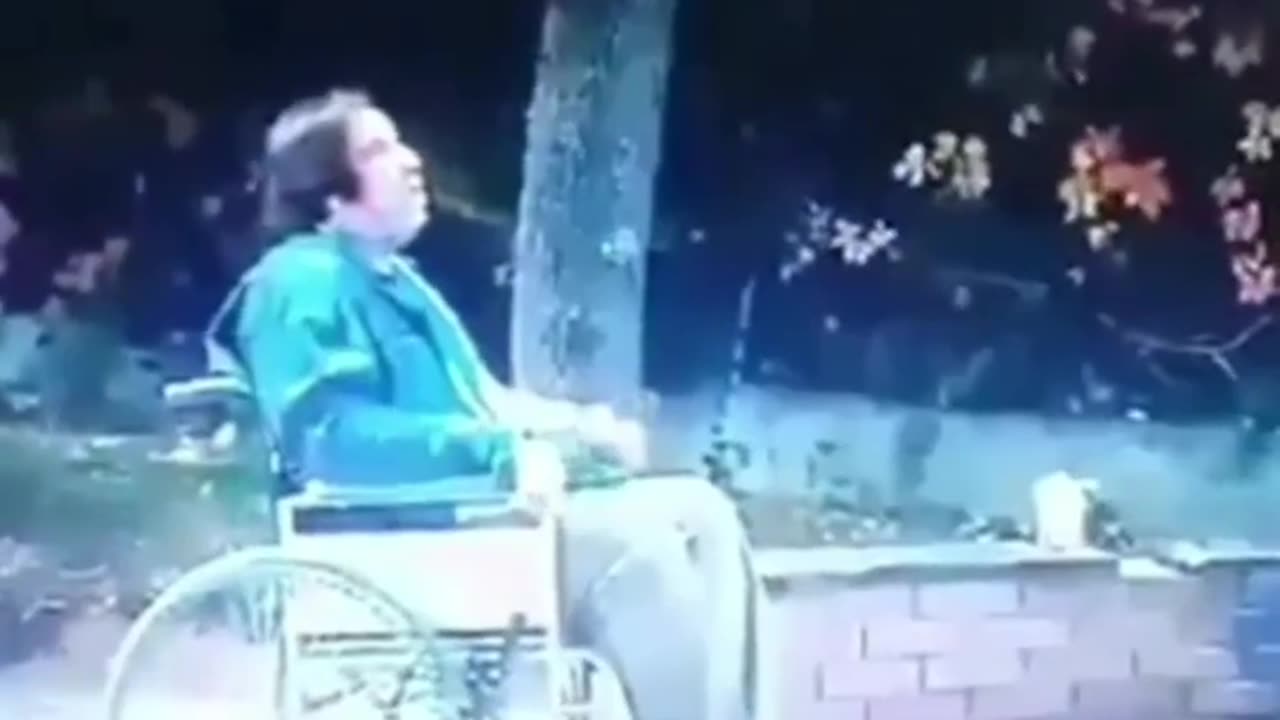 Funny videos