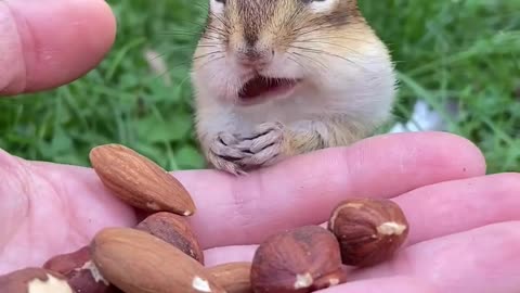 So cute funny video