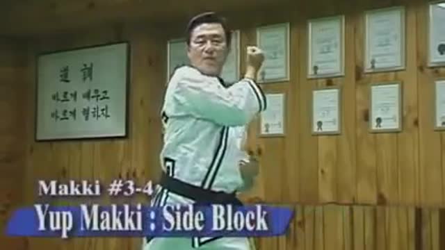 Jin Jung Kwan Hapkido