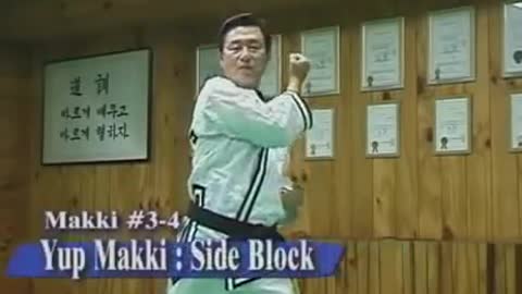 Jin Jung Kwan Hapkido