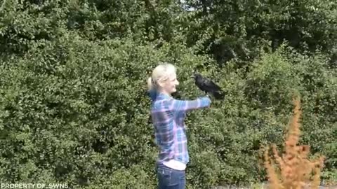 #Animal lovers#Must watch-Lion Sees Her Adoptive Dad After 7 Years...