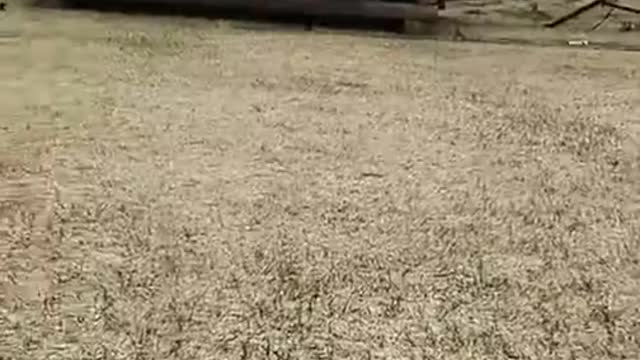 KELLY ANNE WOLFE EDMONTON AUG1 2021