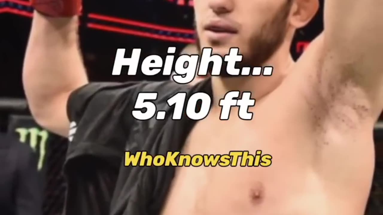 When khamzat meets makhachev 🤩 | Khamzat vs Makhachkala | #shorts #viralshort #trending | UFC fight