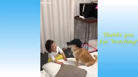 Funny Cats and Dogs Action