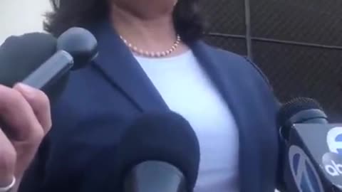 HORRIFYING: Kamala Vows To Use Executive Action To Take Guns