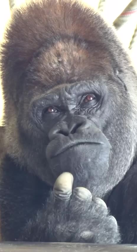 Pondering the happenings in the world