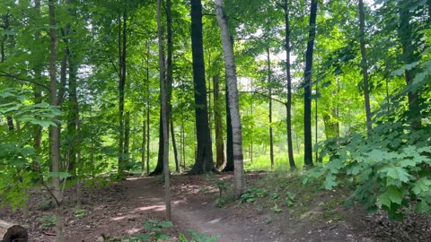 One of the unpaved walks at James Gardens