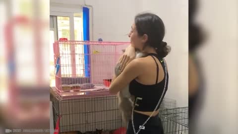 Animals Reunited With Owner After Years !-9