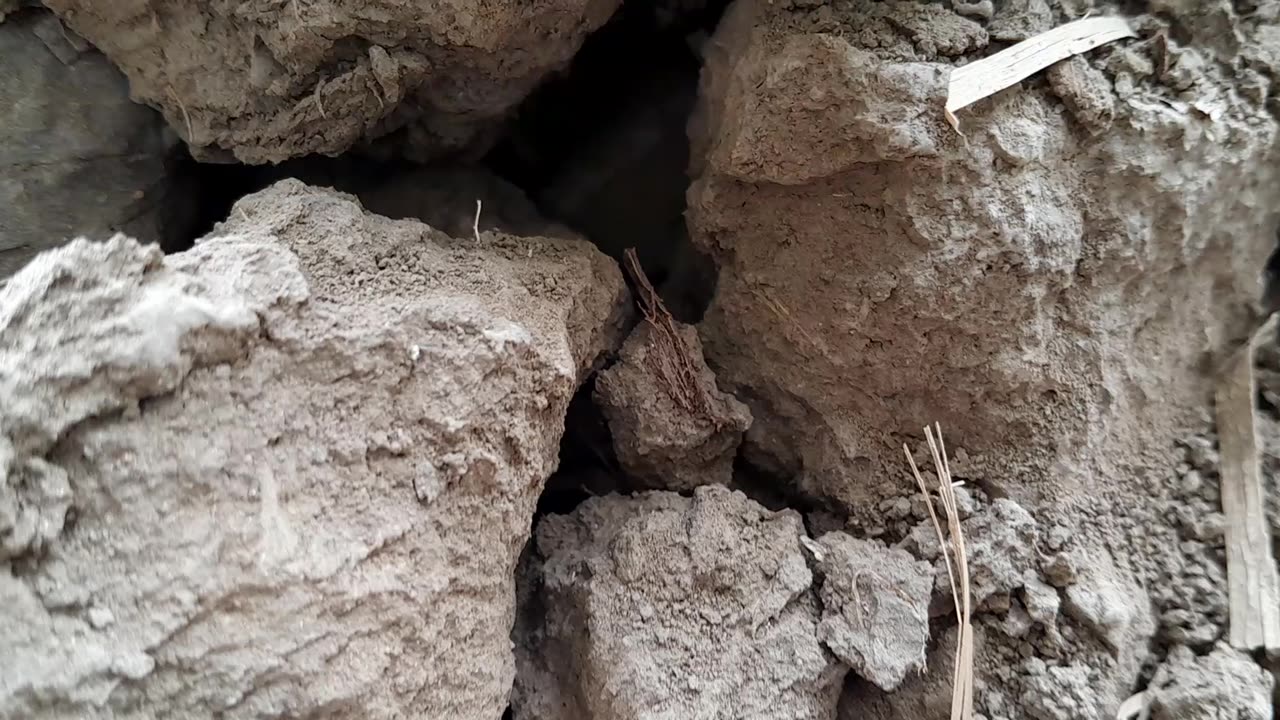 India, BIHAR | KHET