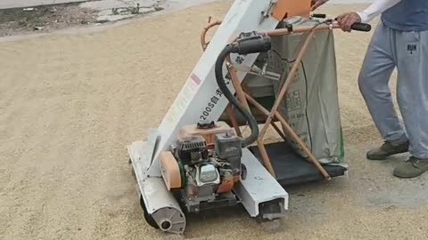 Paddy machine #machine#agriculture