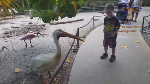 -kids-vs-zoo-animals-are-way-funnier-try-not-to-laugh