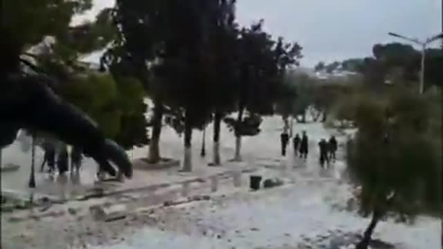 Muslims Throwing Snowballs at Jews on the Temple Mount - Muslim Angle