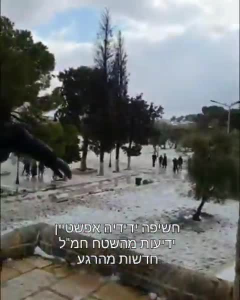 Muslims Throwing Snowballs at Jews on the Temple Mount - Muslim Angle