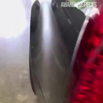 The car runs on water