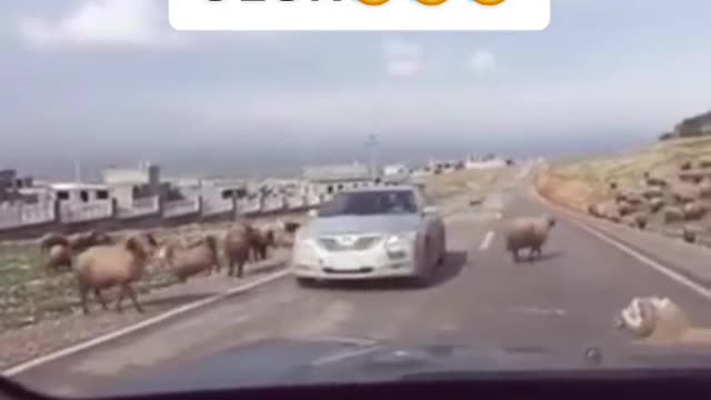 Just an ordinary day 😅