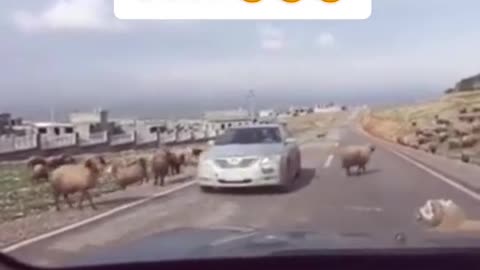 Just an ordinary day 😅