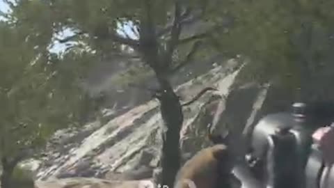 Train Mission Failed