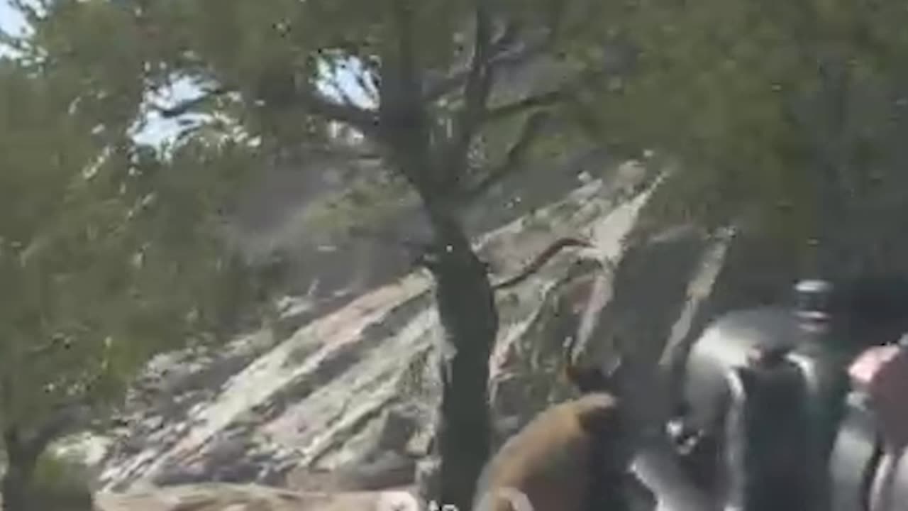 Train Mission Failed