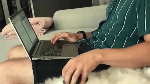 Funny cats 😸 in the world || funny and fails pets video ||