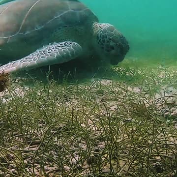 Look what I've found here 😍