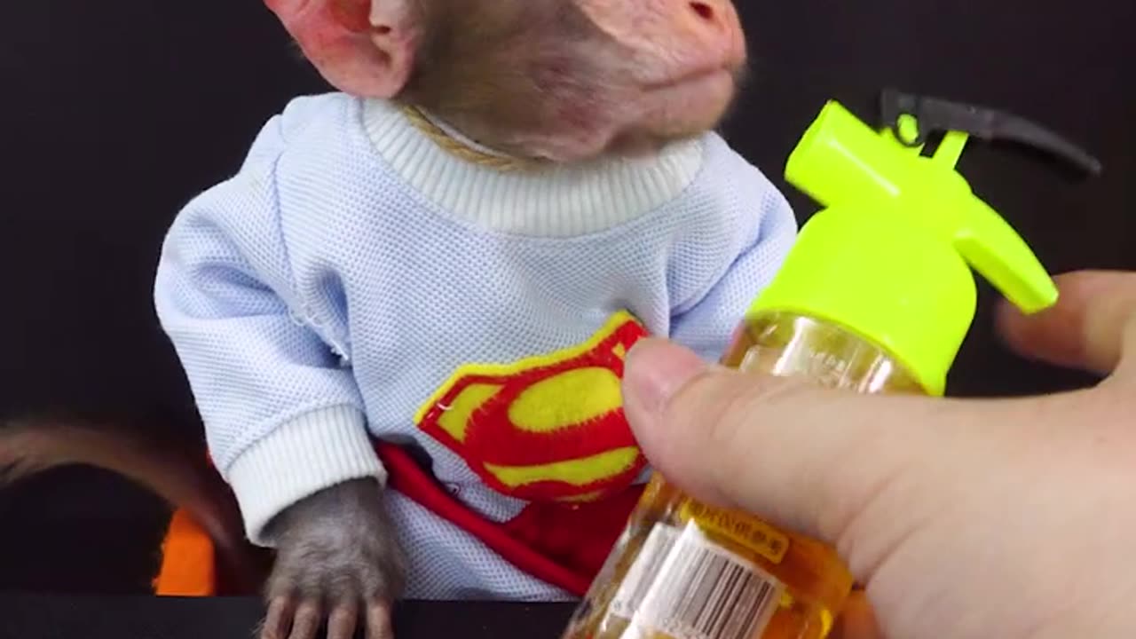 Monkey