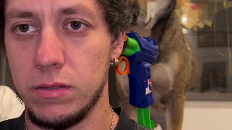 His dog is a mafia :))