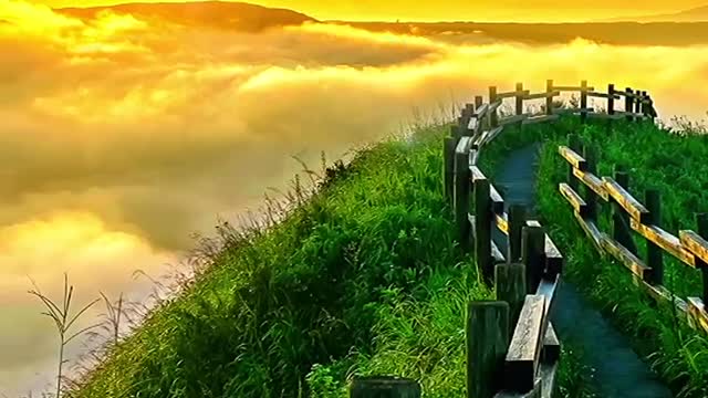 It is the most beautiful luxury in life and the most splendid freedom.