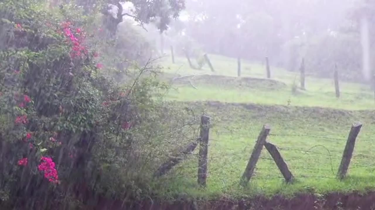 Heavy rain from Idukki, Ramakkalmedu, kerala.