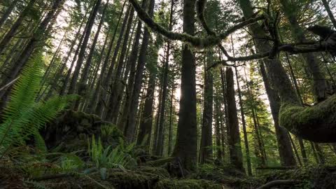 Barrons-nous au Canada - PAYSAGES ET NATURE infinie du Québec