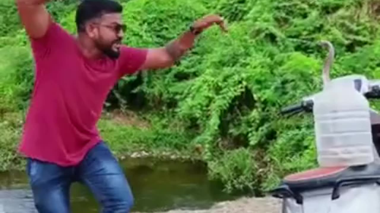 Cobra brother birthday funny video
