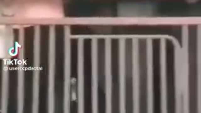 China pt 4