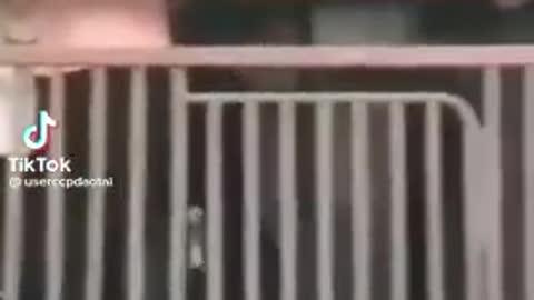 China pt 4