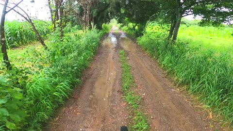El Sabinal, Ags. MTB