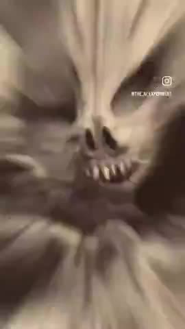 If DRAGONS🐉did not exist.. Then what are these?