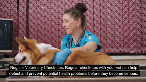 Dog health care tips