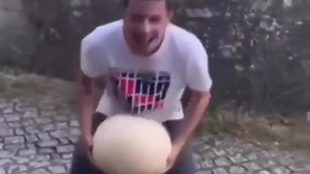 The end 😂😂😂 #funny #fails #shorts
